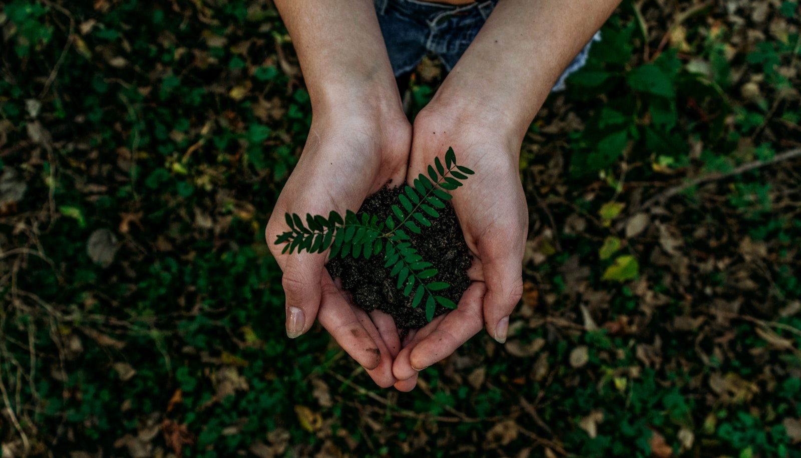 EU packaging regulation update: what importers need to know for 2027